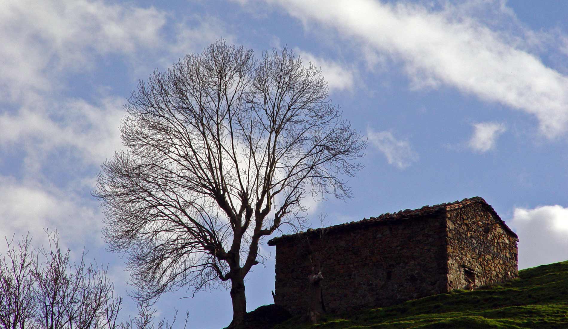 Camino de la ermita socueva 2