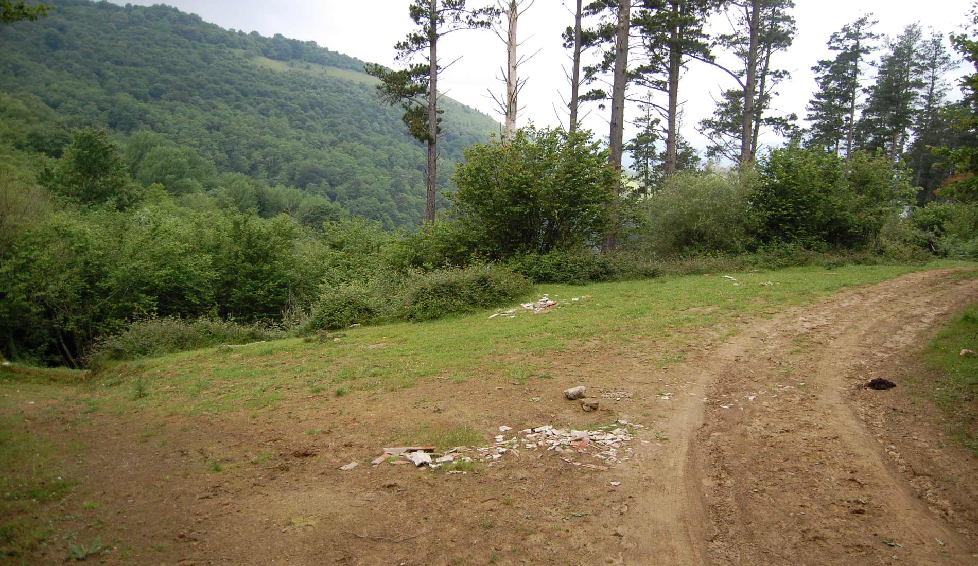 Camino-de-las-Nieves-(105)