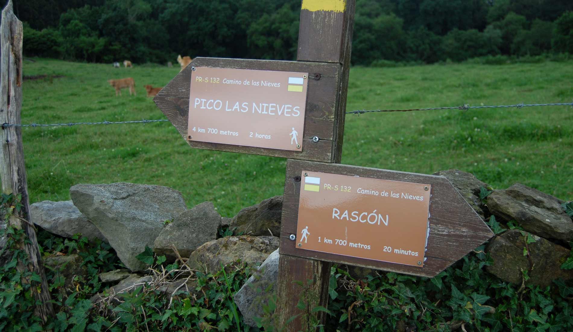 Camino-de-las-Nieves-(22)