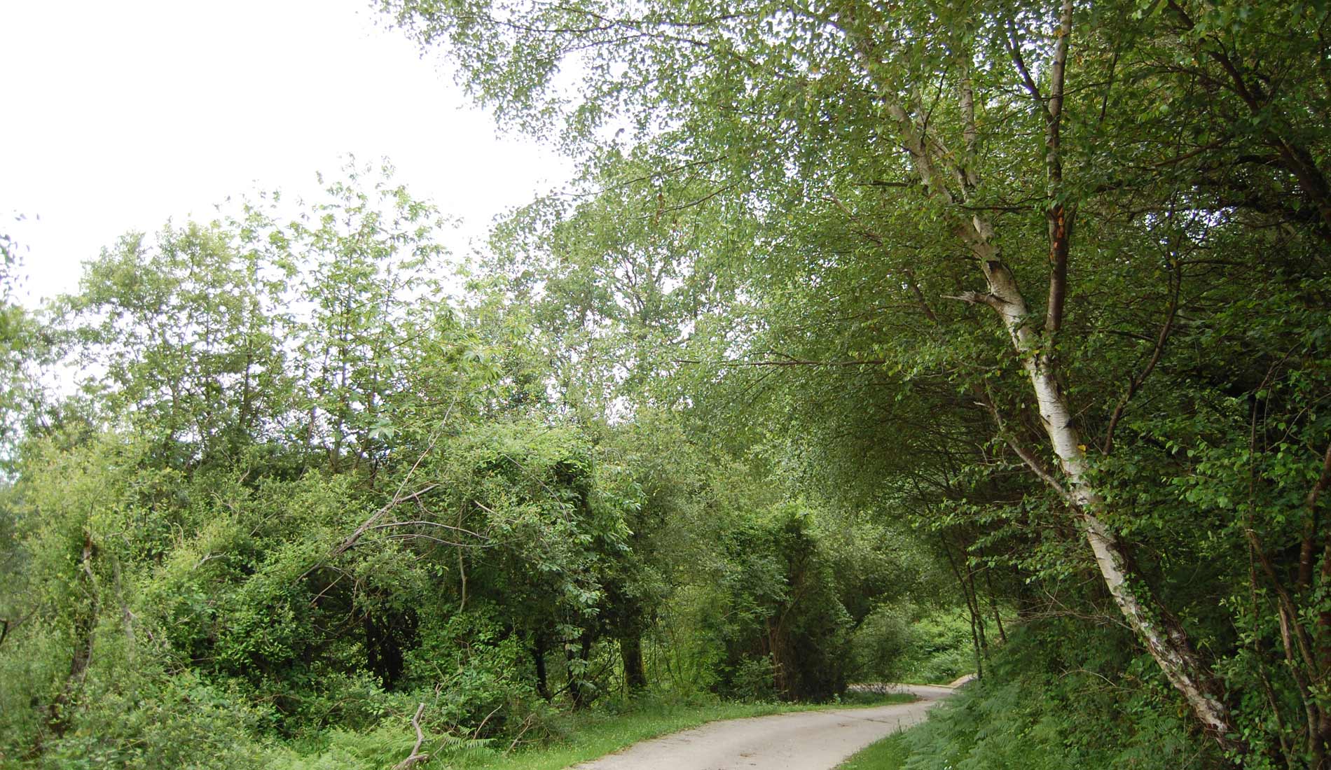 Camino-de-las-Nieves-(32)