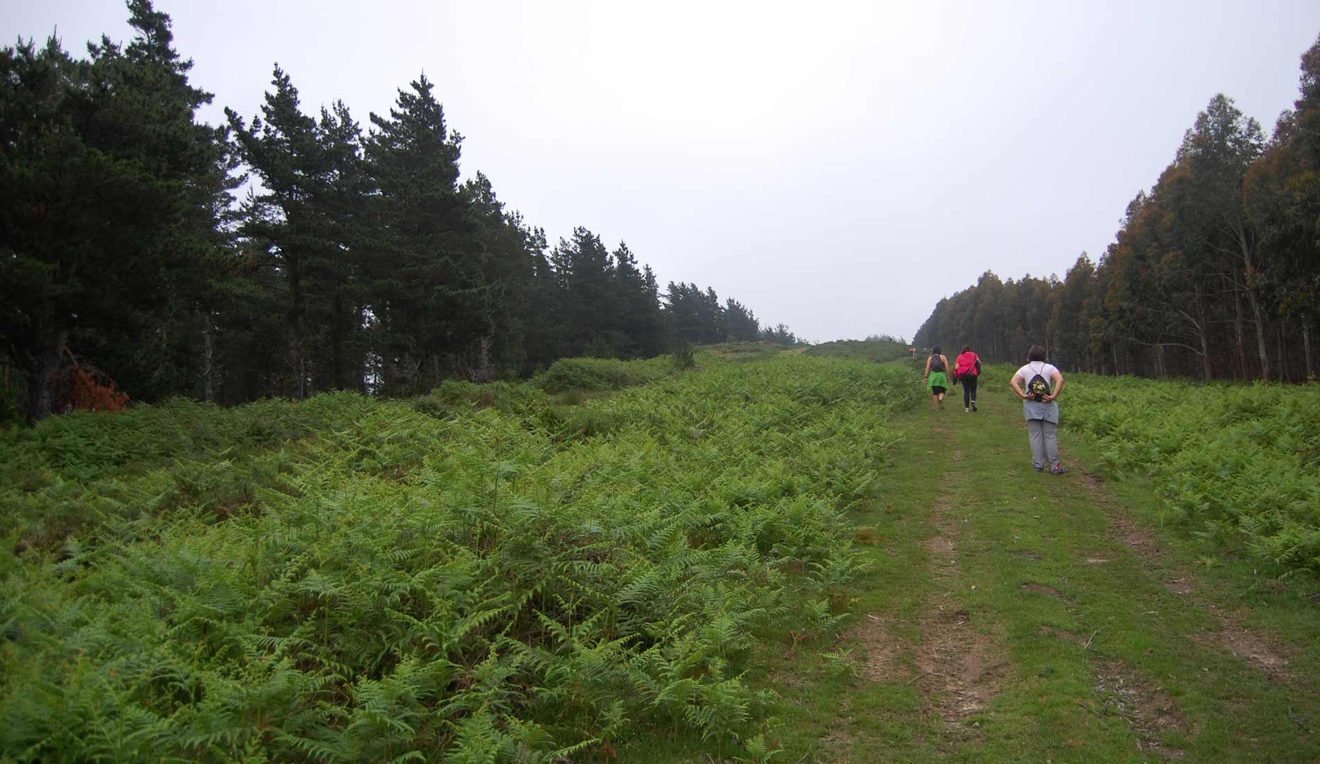 Camino-de-las-Nieves-(59)