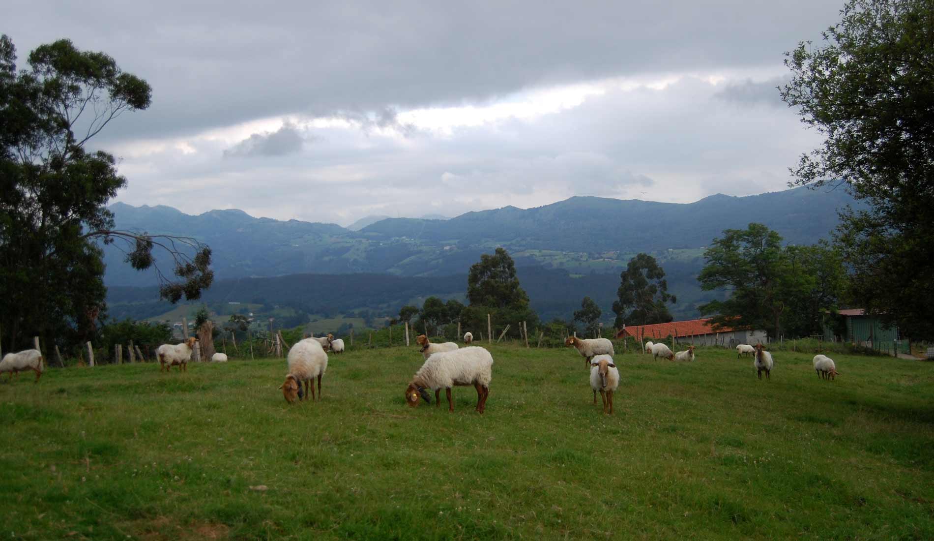 Camino-de-las-Nieves-(8)