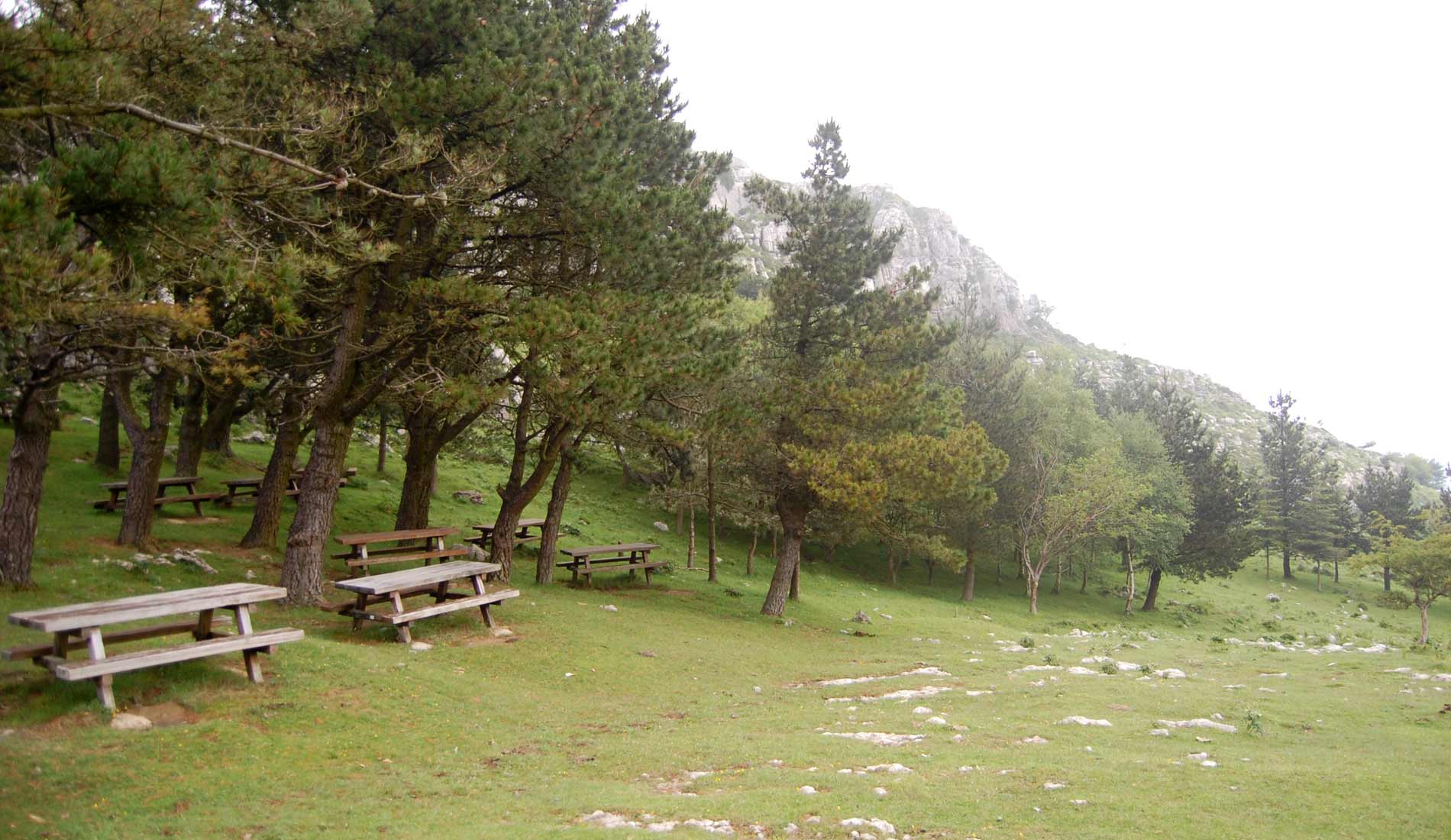 Camino-de-las-Nieves-(87)