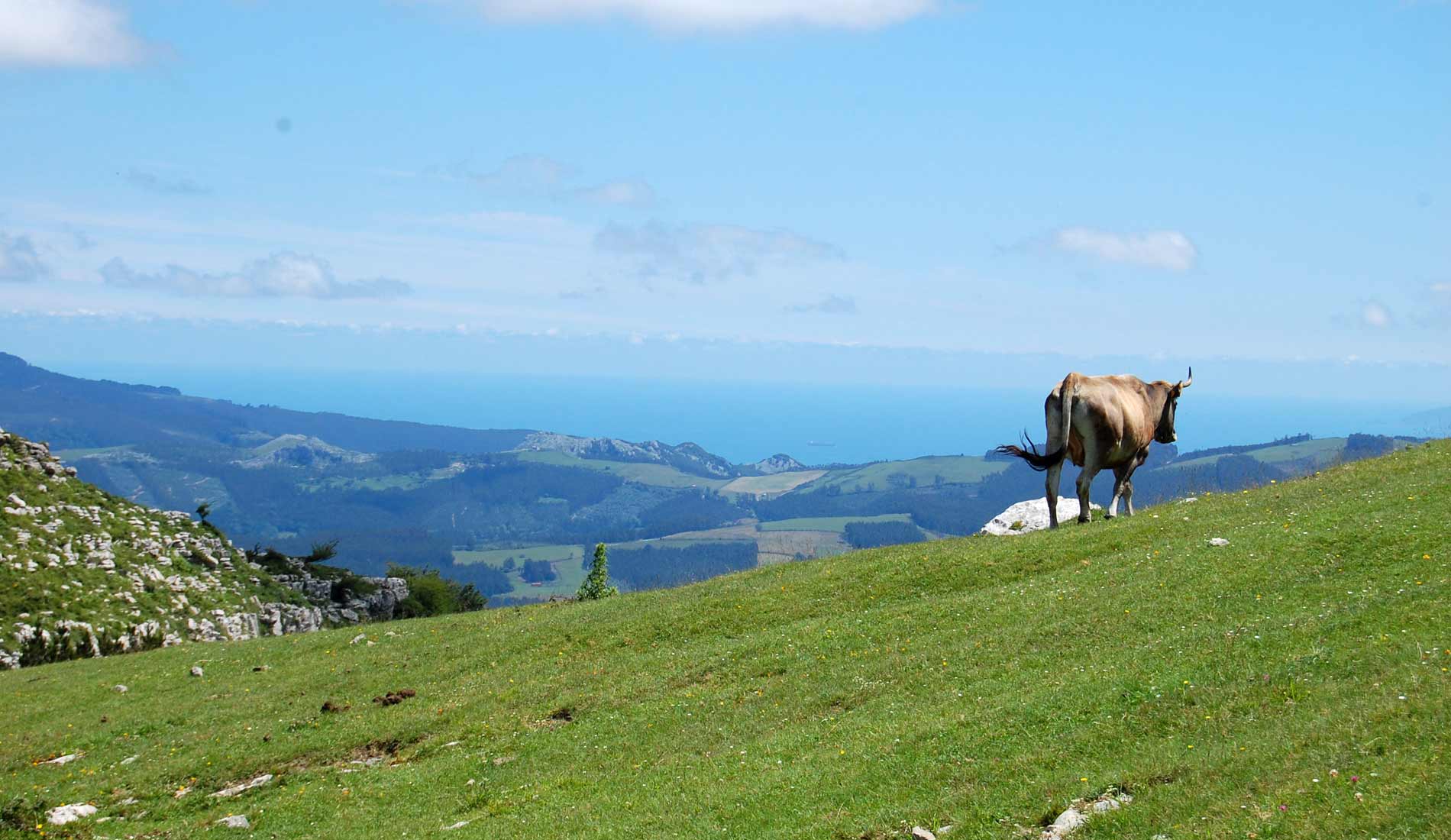 camino de las nieves5
