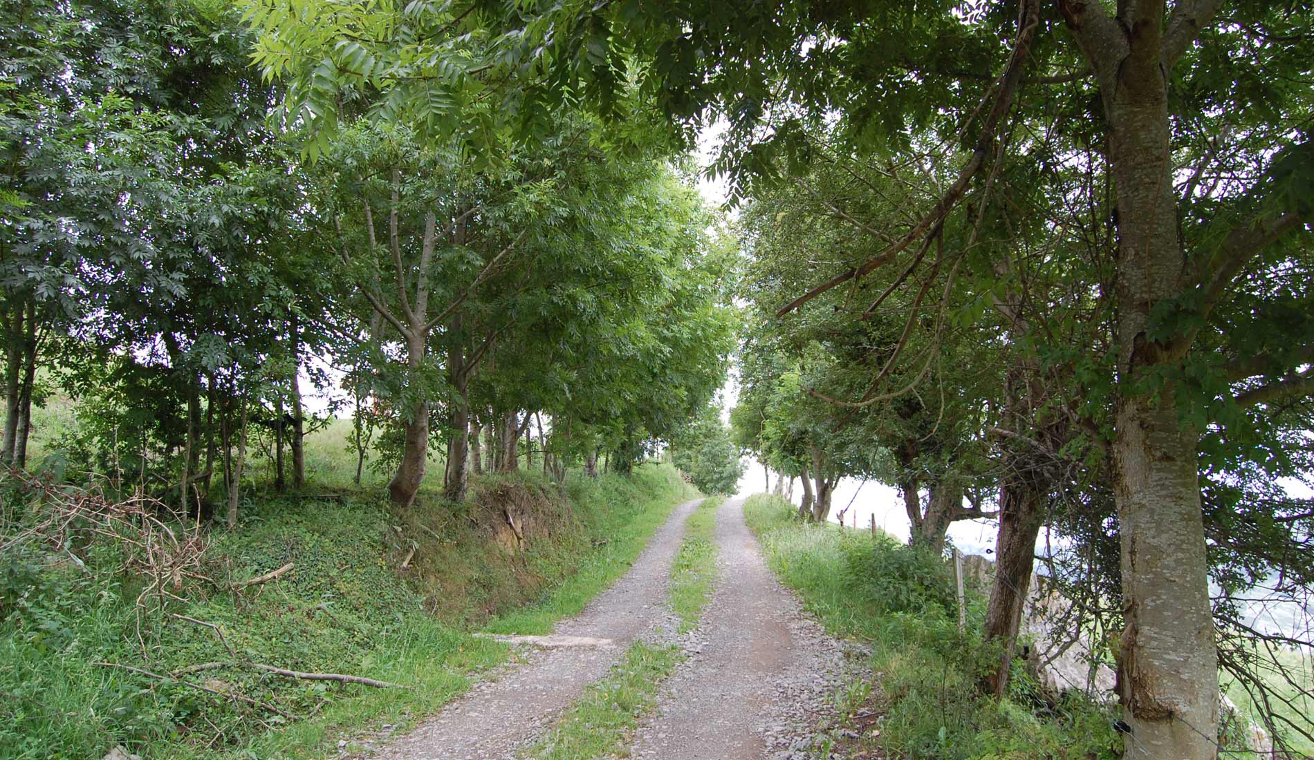 piluca-27_19517414793_o