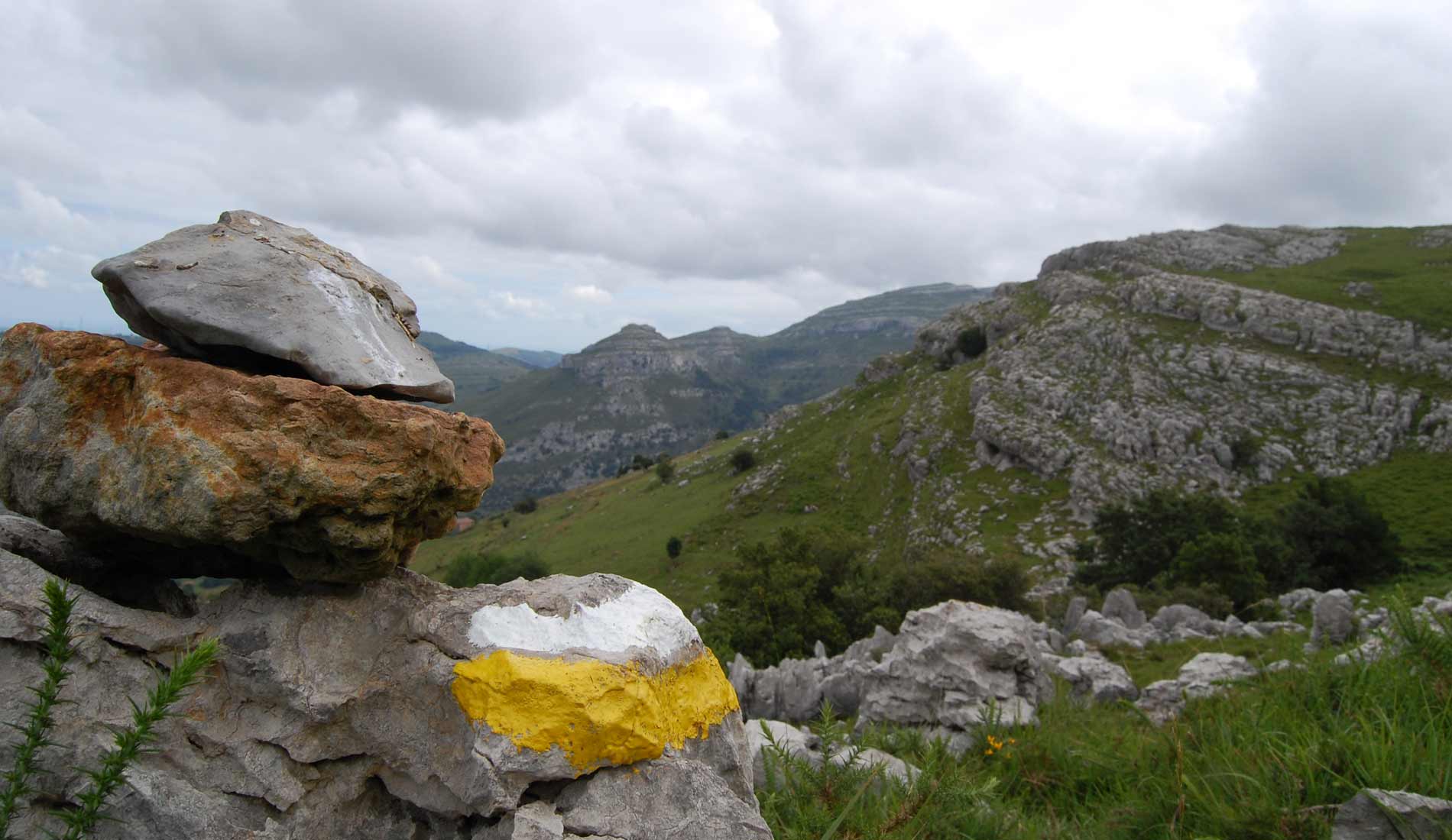 piluca-41_19950294420_o