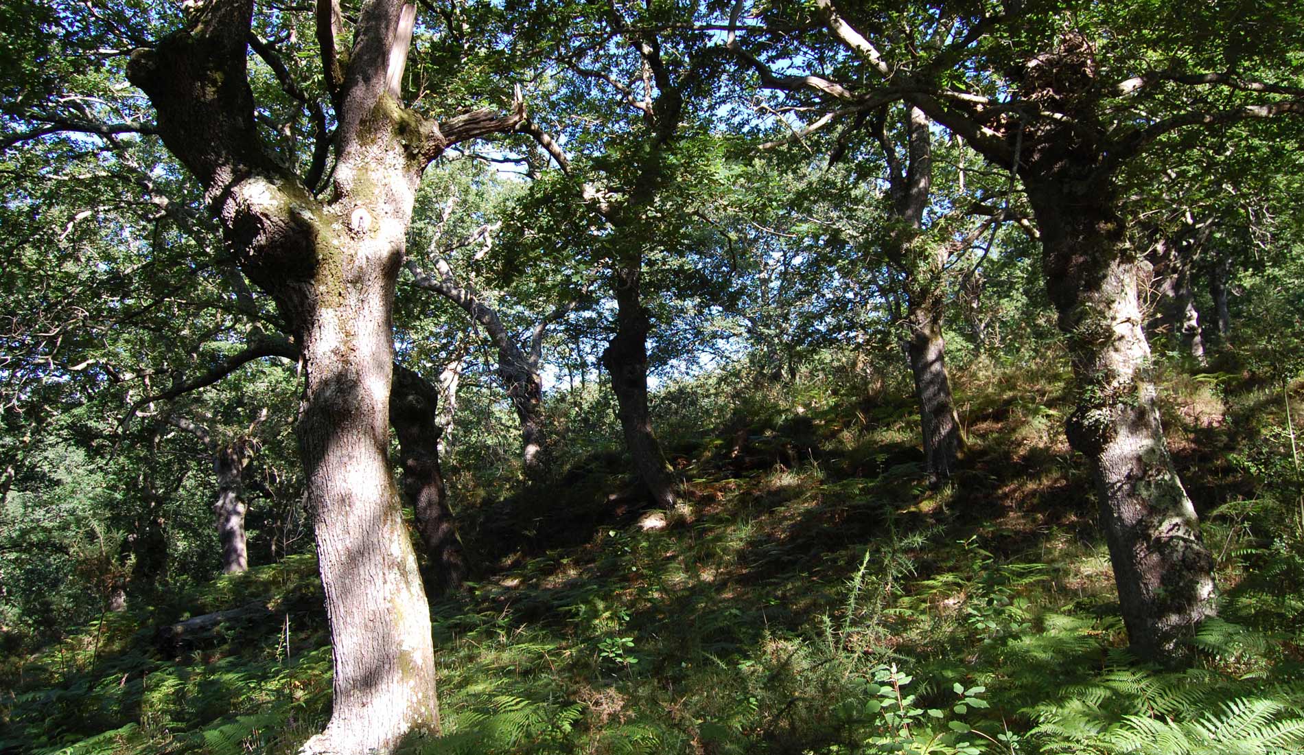 valle-de-soba-21_19980573070_o