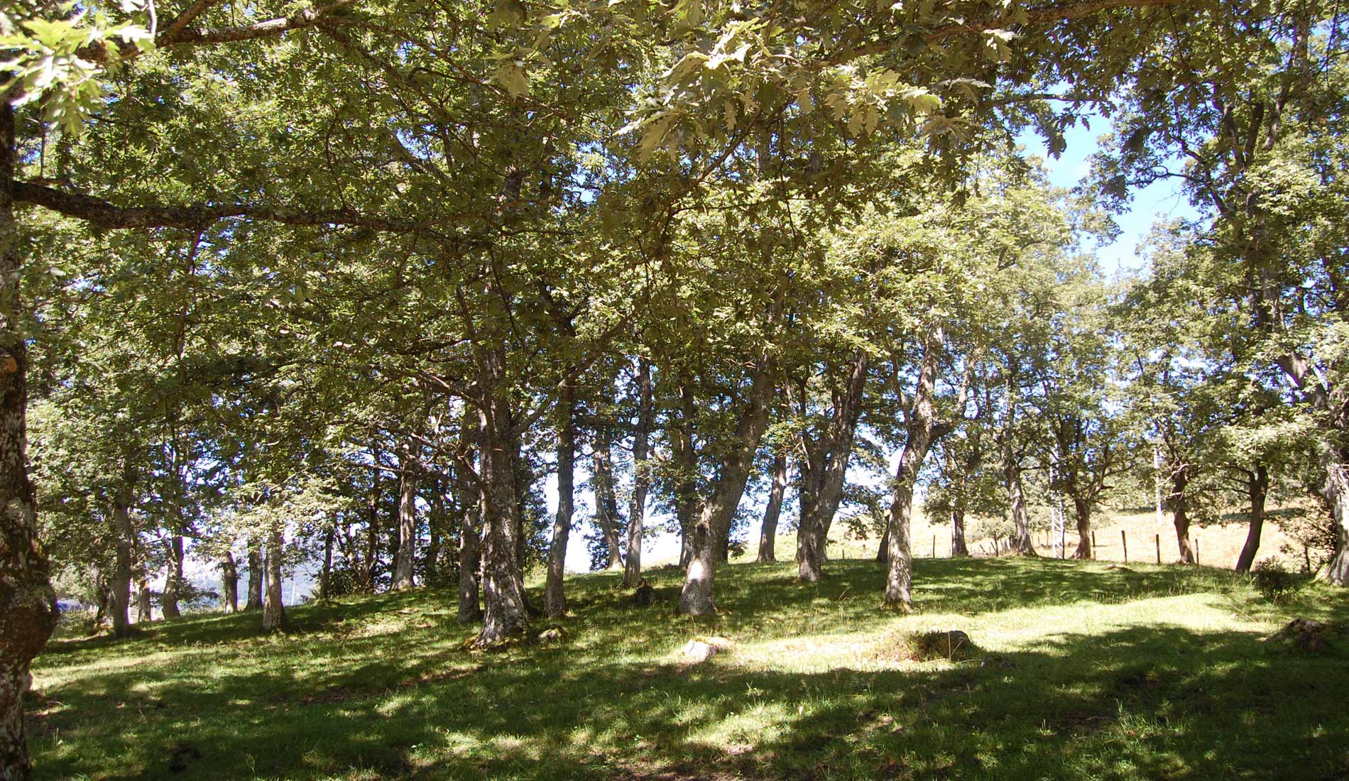 valle-de-soba-77_19545816834_o