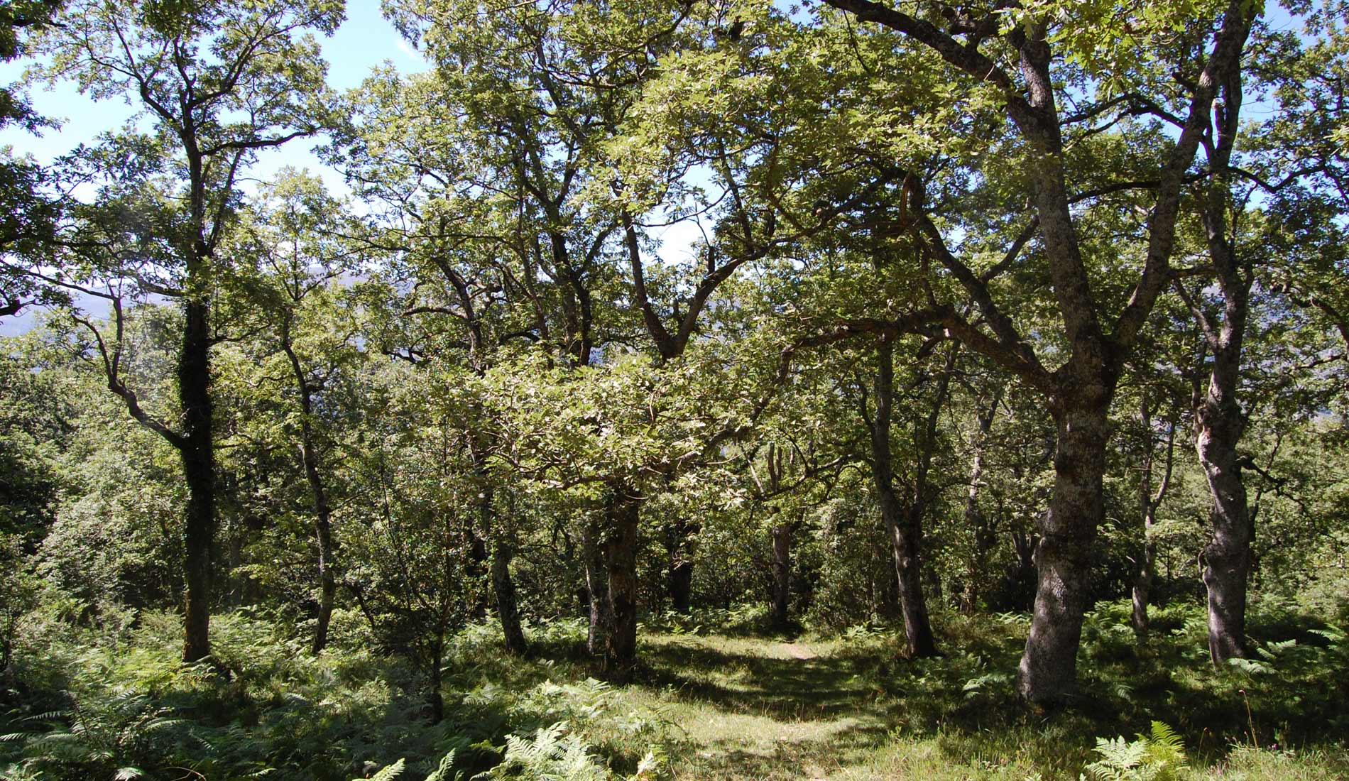 valle-de-soba-84_20160328082_o