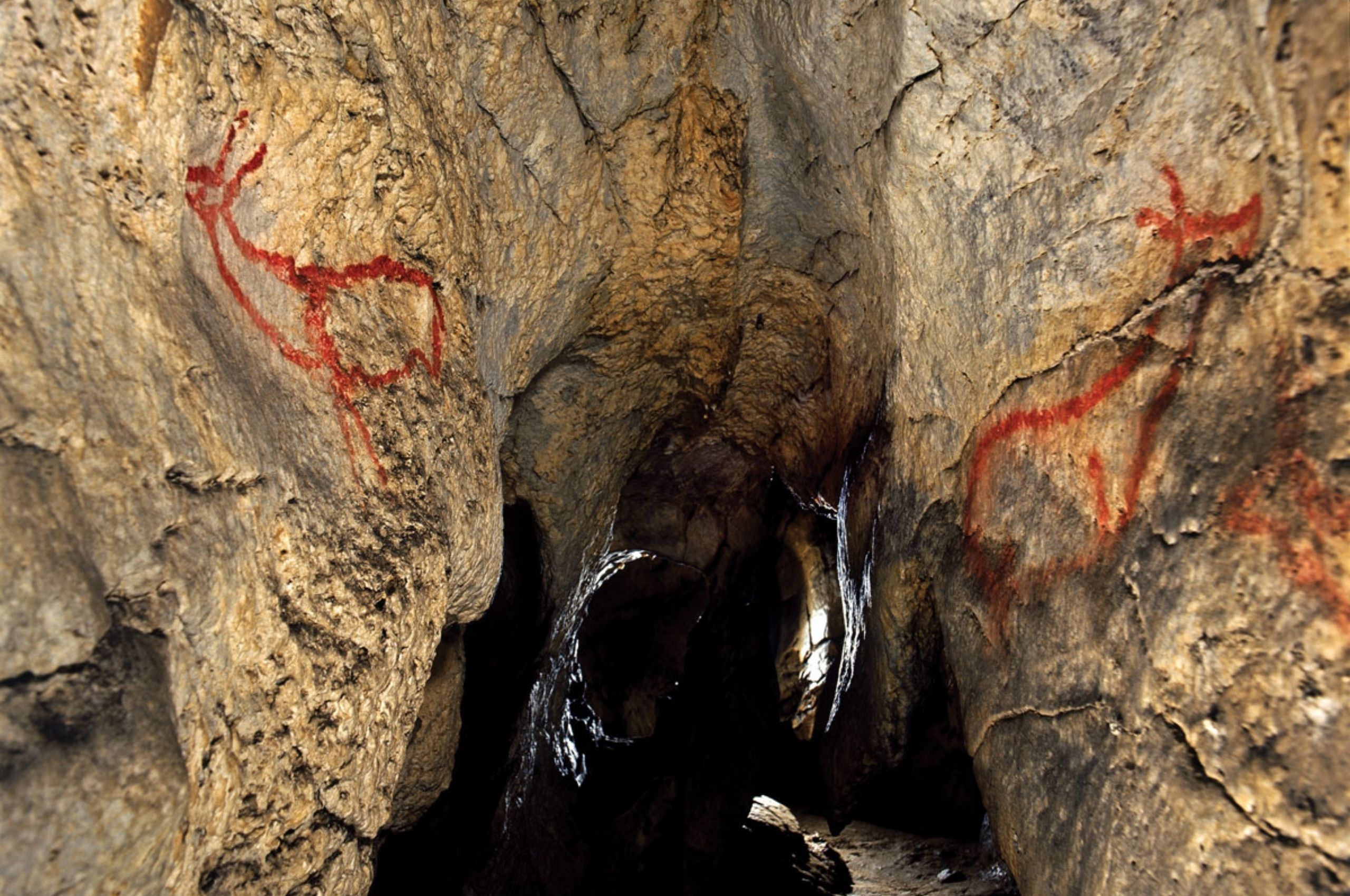 La Cueva de Covalanas: arte rupestre y patrimonio prehistórico en el Alto Asón
