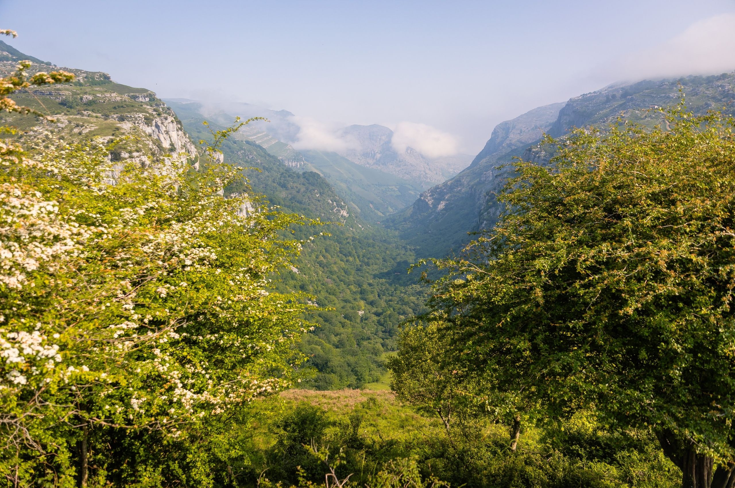 Alto Asón y la Red Natura 2000: un territorio protegido de gran valor natural