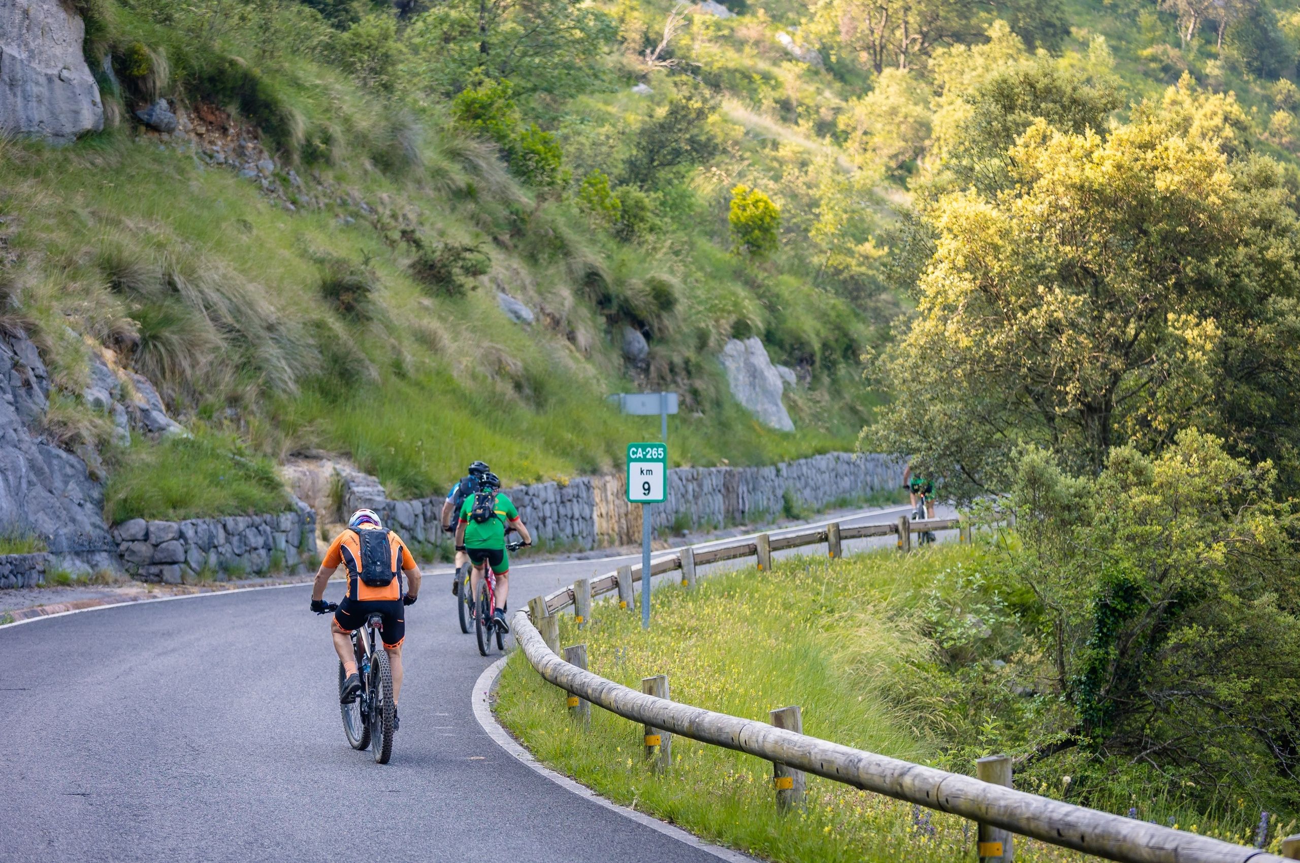 Ruta en bicicleta: las mejores opciones para pedalear por el Alto Asón en otoño